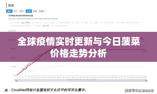 全球疫情实时更新与今日菠菜价格走势分析