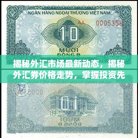 揭秘外汇市场最新动态，揭秘外汇券价格走势，掌握投资先机！