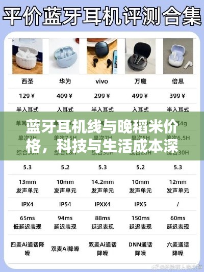 蓝牙耳机线与晚稻米价格,科技与生活成本深度解析