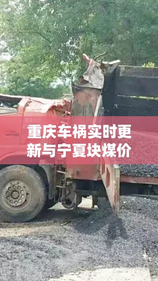 重庆车祸实时更新与宁夏块煤价格动态播报