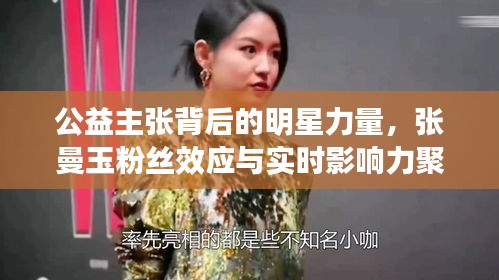 公益主张背后的明星力量,张曼玉粉丝效应与实时影响力聚焦