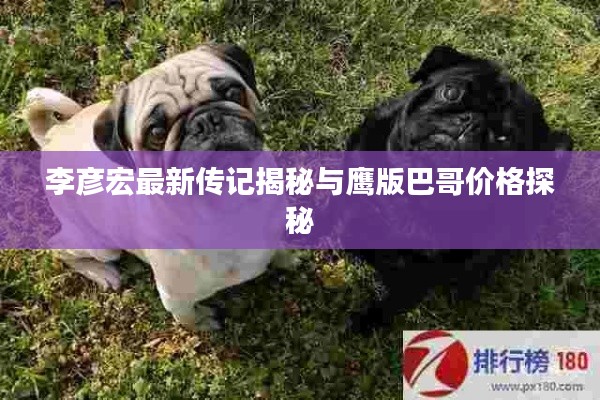 李彦宏最新传记揭秘与鹰版巴哥价格探秘