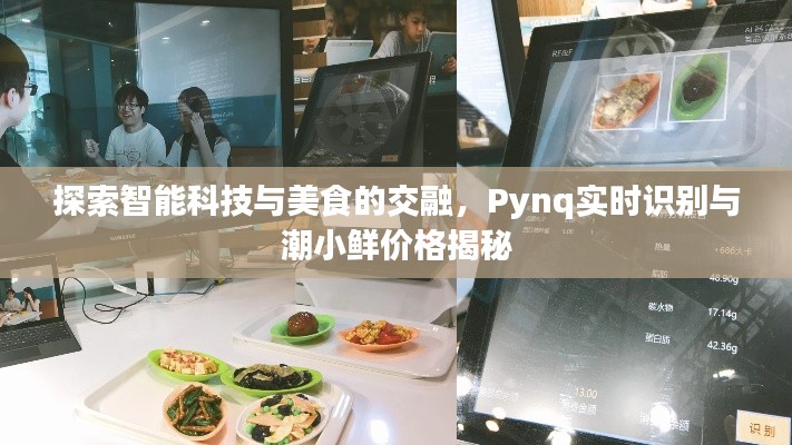 探索智能科技与美食的交融,Pynq实时识别与潮小鲜价格揭秘