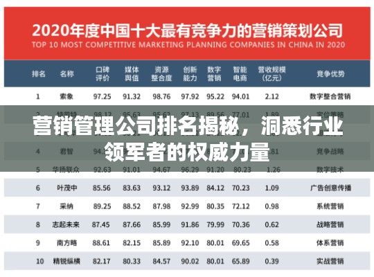 营销管理公司排名揭秘,洞悉行业领军者的权威力量