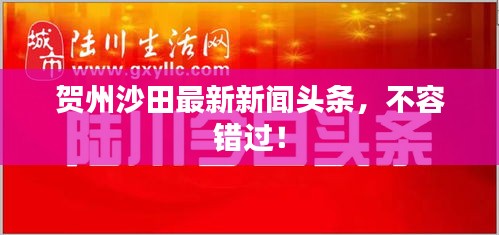 贺州沙田最新新闻头条,不容错过!