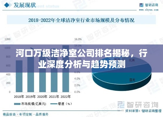 河口万级洁净室公司排名揭秘,行业深度分析与趋势预测