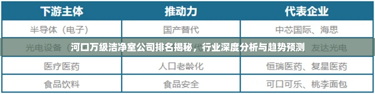 河口万级洁净室公司排名揭秘，行业深度分析与趋势预测