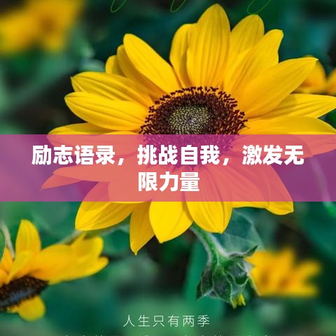 励志语录,挑战自我,激发无限力量