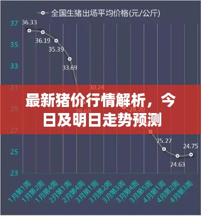 最新猪价行情解析,今日及明日走势预测