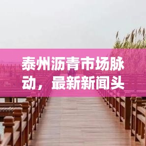 泰州沥青市场脉动,最新新闻头条、市场趋势揭秘与技术创新动态及工程进展速递