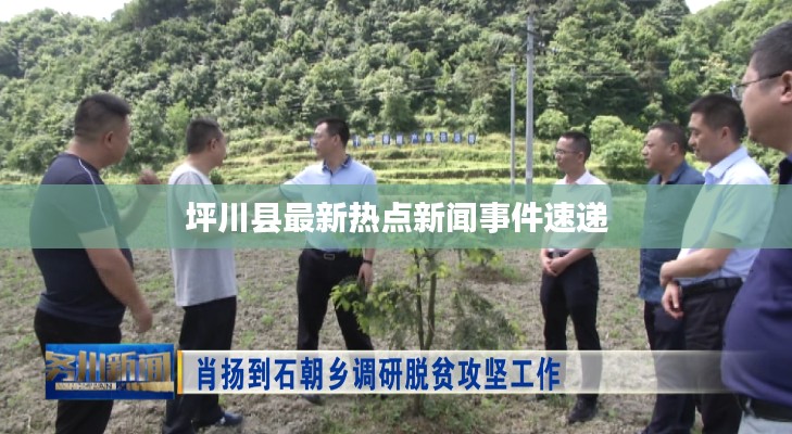 坪川县最新热点新闻事件速递