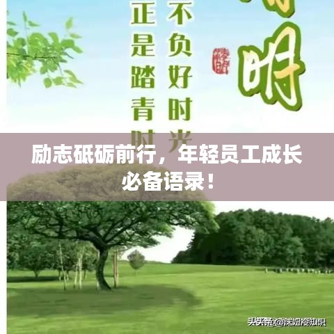 励志砥砺前行,年轻员工成长必备语录!