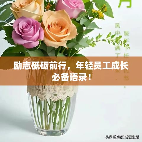 励志砥砺前行,年轻员工成长必备语录!