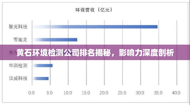 黄石环境检测公司排名揭秘,影响力深度剖析
