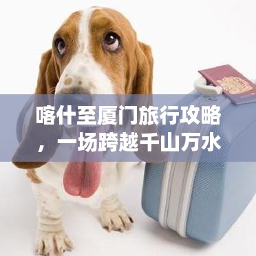 喀什至厦门旅行攻略,一场跨越千山万水的梦幻之旅