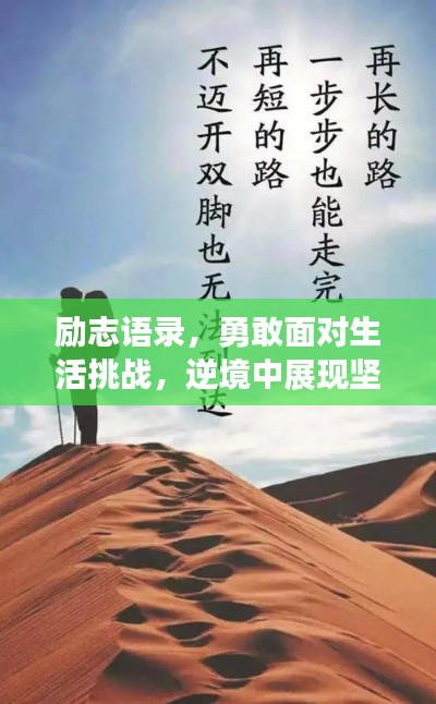 励志语录,勇敢面对生活挑战,逆境中展现坚韧力量
