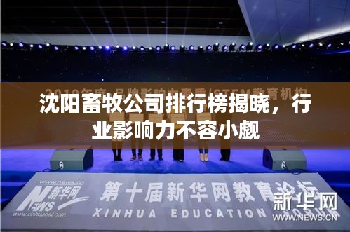 沈阳畜牧公司排行榜揭晓,行业影响力不容小觑