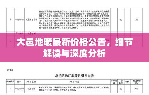 大邑地暖最新价格公告,细节解读与深度分析