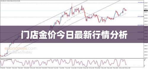 门店金价今日最新行情分析