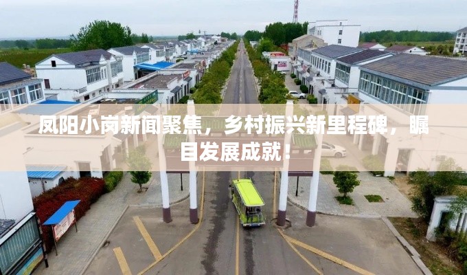 凤阳小岗新闻聚焦,乡村振兴新里程碑,瞩目发展成就!