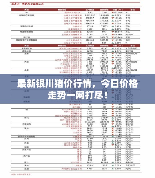 心得分享 第78页