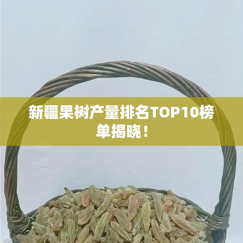 新疆果树产量排名TOP10榜单揭晓!