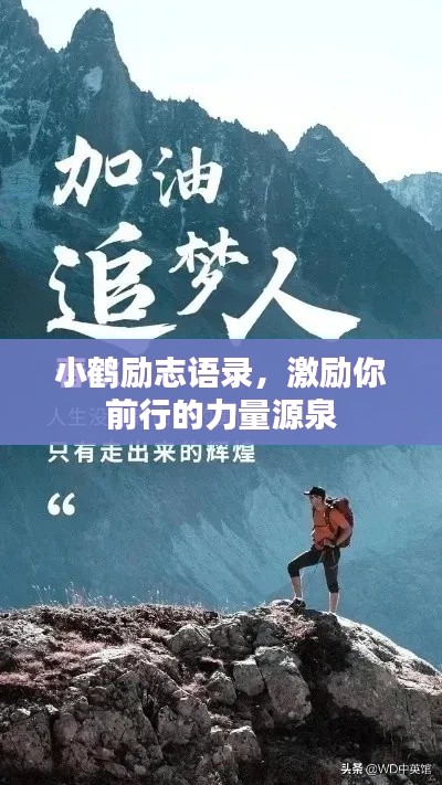 小鹤励志语录,激励你前行的力量源泉