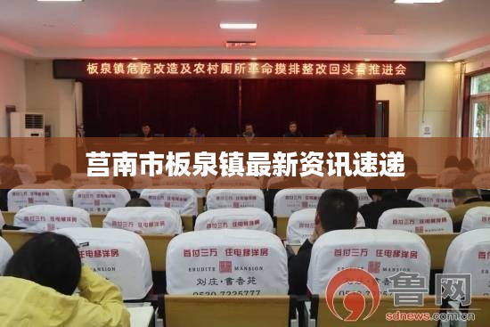 莒南市板泉镇最新资讯速递