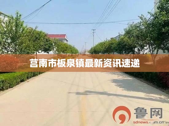 莒南市板泉镇最新资讯速递