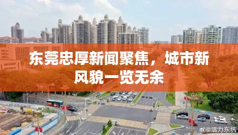 东莞忠厚新闻聚焦,城市新风貌一览无余