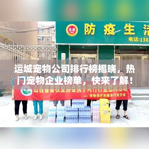 运城宠物公司排行榜揭晓,热门宠物企业榜单,快来了解!