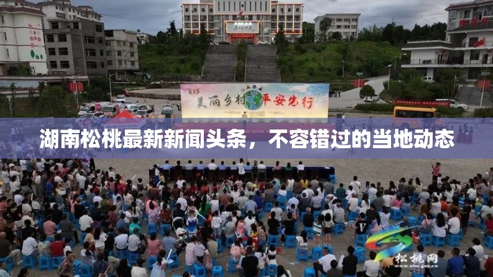 湖南松桃最新新闻头条,不容错过的当地动态