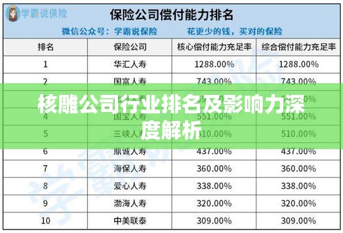 核雕公司行业排名及影响力深度解析