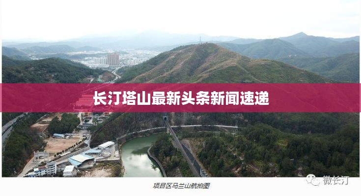 长汀塔山最新头条新闻速递