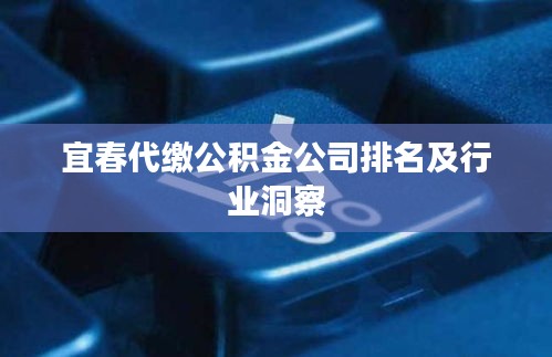 宜春代缴公积金公司排名及行业洞察