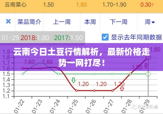 云南今日土豆行情解析,最新价格走势一网打尽!