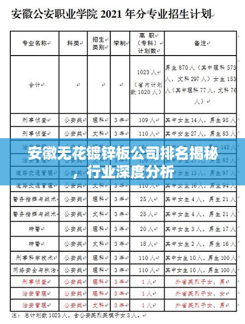 安徽无花镀锌板公司排名揭秘,行业深度分析