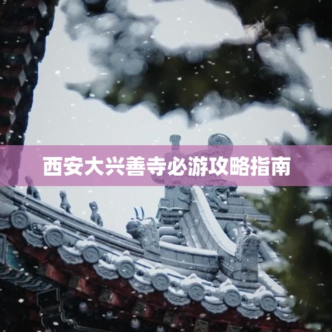 西安大兴善寺必游攻略指南