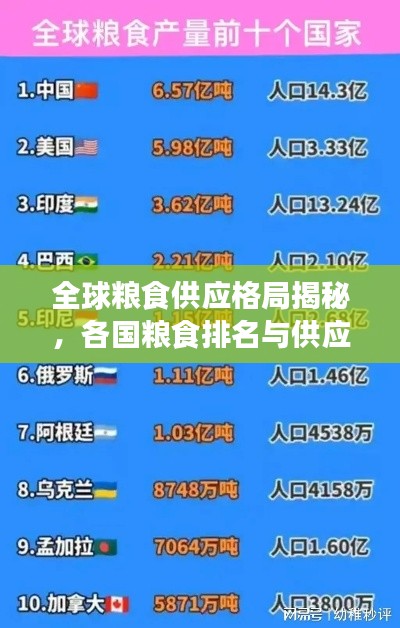 全球粮食供应格局揭秘,各国粮食排名与供应地位分析