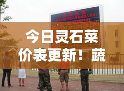 今日灵石菜价表更新！蔬菜价格动态全知晓