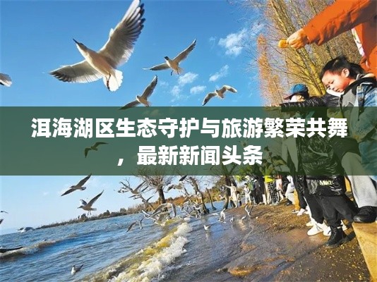 洱海湖区生态守护与旅游繁荣共舞,最新新闻头条