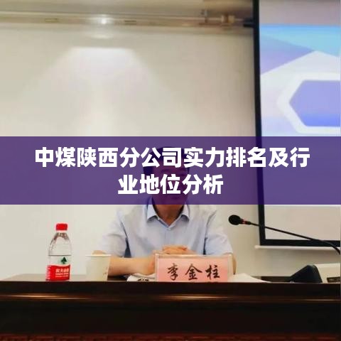 中煤陕西分公司实力排名及行业地位分析
