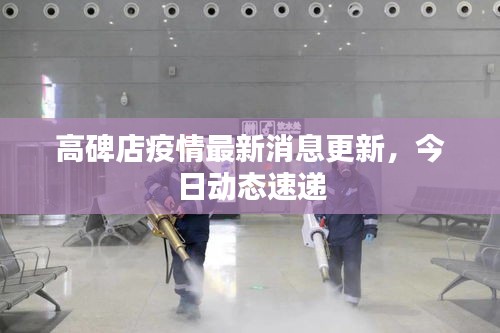 高碑店疫情最新消息更新,今日动态速递