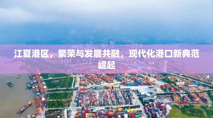 江夏港区,繁荣与发展共融,现代化港口新典范崛起