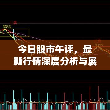 今日股市午评,最新行情深度分析与展望