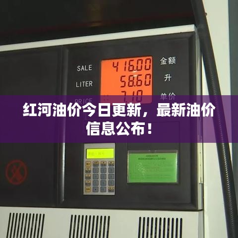 红河油价今日更新，最新油价信息公布！