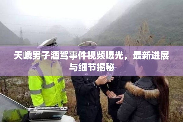 天峨男子酒驾事件视频曝光,最新进展与细节揭秘