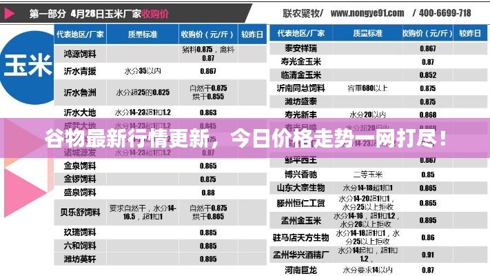 谷物最新行情更新,今日价格走势一网打尽!