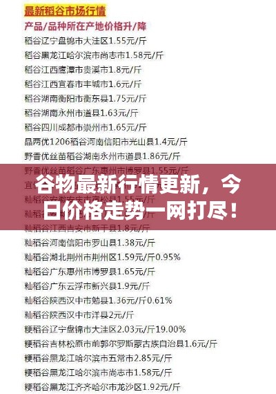 谷物最新行情更新,今日价格走势一网打尽!