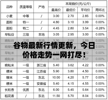 谷物最新行情更新,今日价格走势一网打尽!